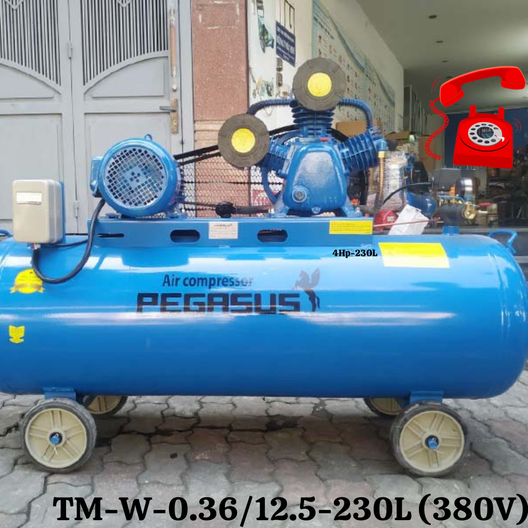Máy nén khí dây đai Pegasus TM-W-0.36/12.5-230L (380V)